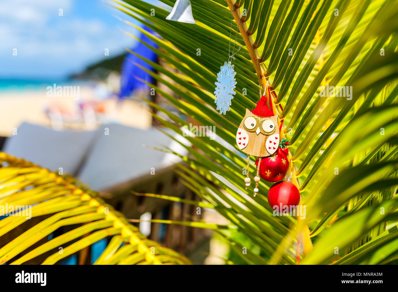Idyllische tropische Karibik Strand mit Palmen für Weihnachten dekoriert Stockfoto