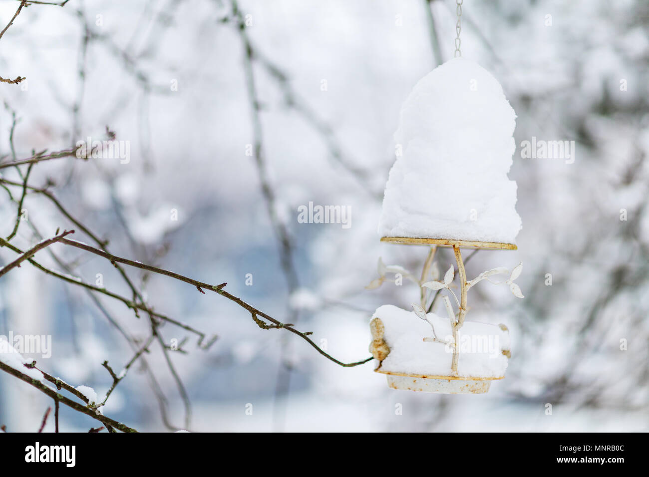 Weiße Weihnachten Dekoration Bird Feeder im Winter Forest Stockfoto