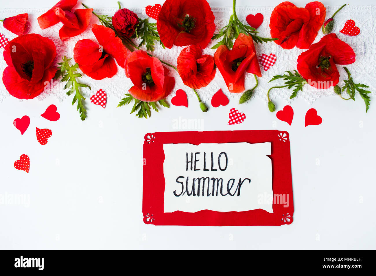 Hallo Sommer Card mit Mohn Blumen auf weißem Hintergrund Stockfoto