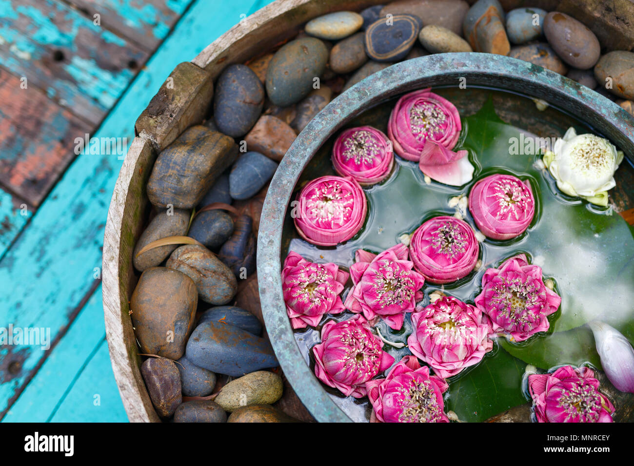 Lotus Blumen und spa Steine Dekoration close up in Spa. Stockfoto