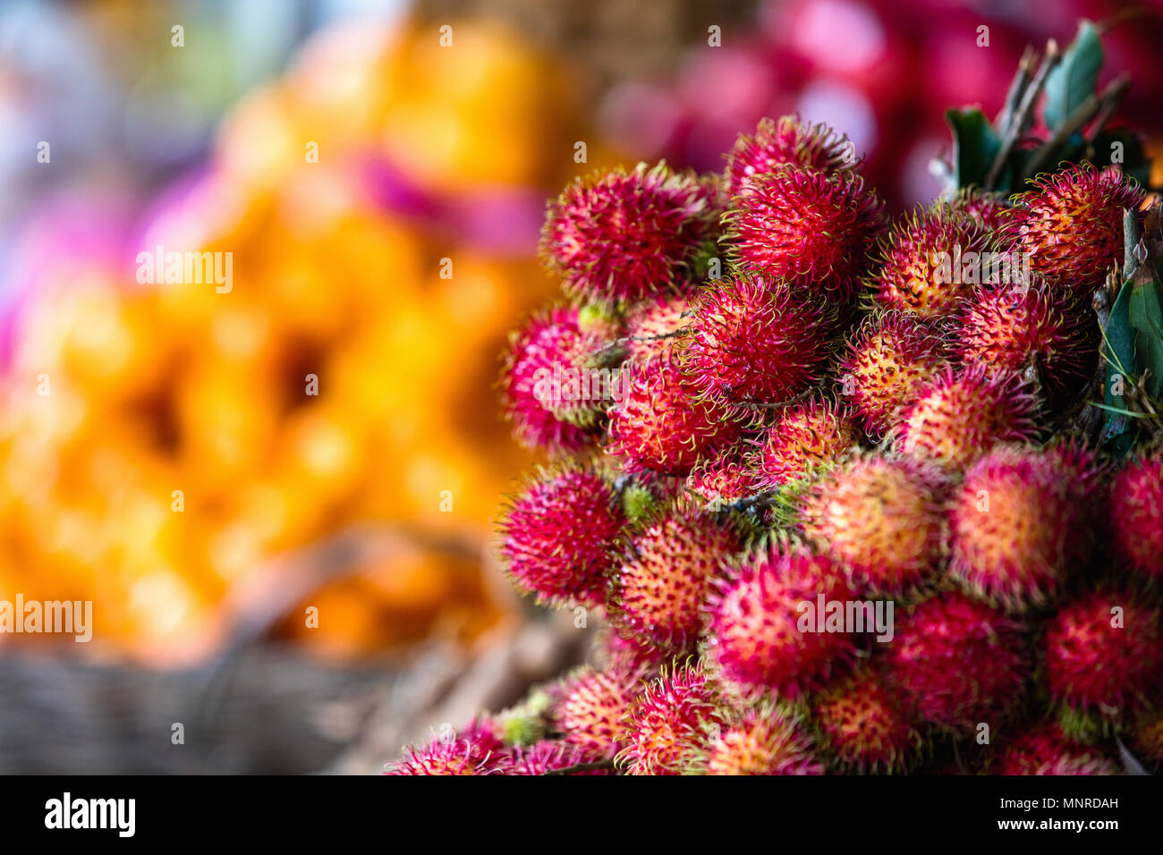 Auswahl an frischen exotischen Rambutan Früchte am Marktstand Stockfoto