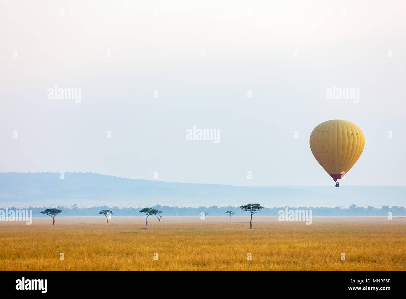 Flug am frühen Morgen von heißen Ballons über Masai Mara National Park, Kenia Stockfoto
