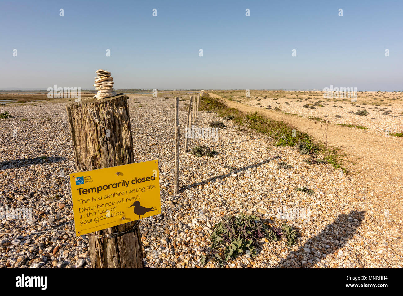 Die Westseite der Pagham Harbour Naturschutzgebiet, West Sussex, UK. Stockfoto