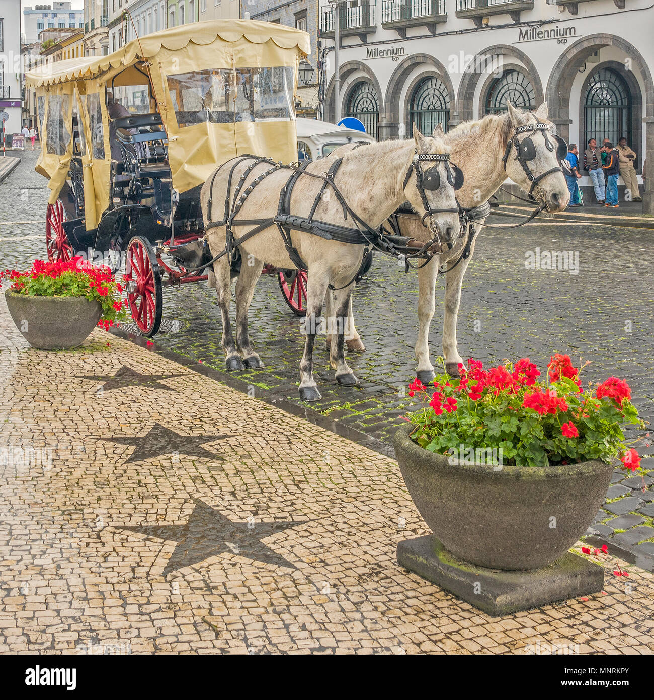 Ponta Delgada, Sao Miguel Island, Azoren Stockfoto
