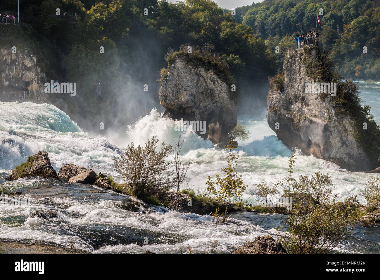 Stromschnellen der Rheinfall in der Schweiz Stockfoto
