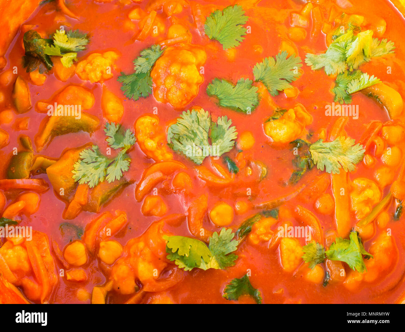Nahaufnahme von kasserolle Topf mit Blumenkohl Gemüse Curry mit sprengte Korianderblätter Stockfoto