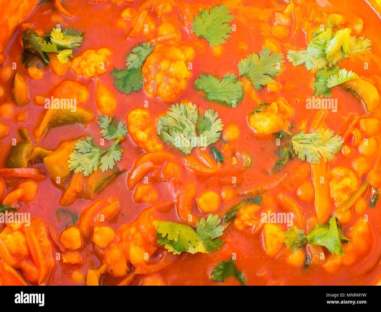 Nahaufnahme von kasserolle Topf mit Blumenkohl Gemüse Curry mit sprengte Korianderblätter Stockfoto