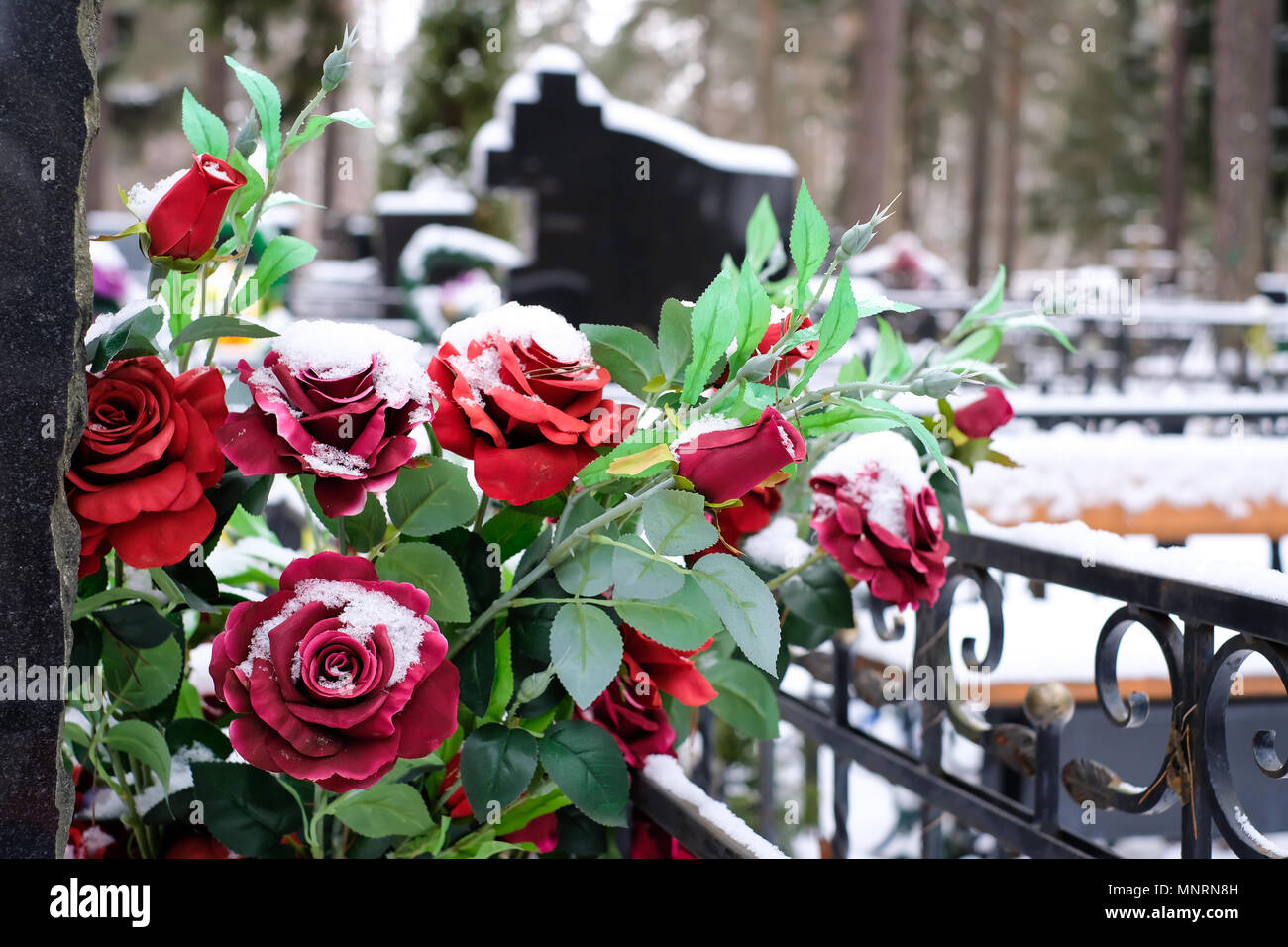 Blumenkranz auf dem grab Fotos und Bildmaterial in hoher Auflösung