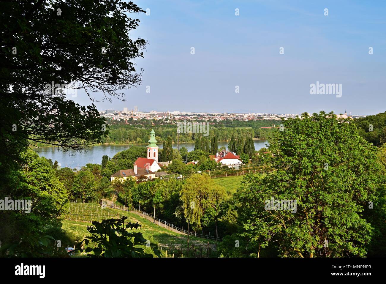 Kahlenbergerdorf in der Nähe von Wien, Österreich Stockfoto