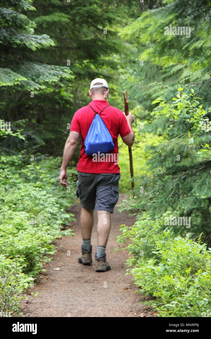 Erwachsene Männer von hinter Wanderungen auf einem schmalen Pfad im Wald mit einem Spazierstock und Rucksack in Leavenworth, Washington. Stockfoto