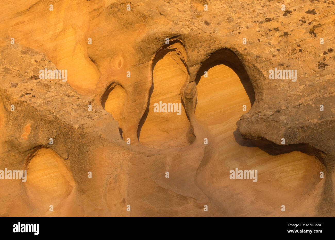 Felsformation, Fremont River Valley, Capitol Reef National Park, Utah Stockfoto