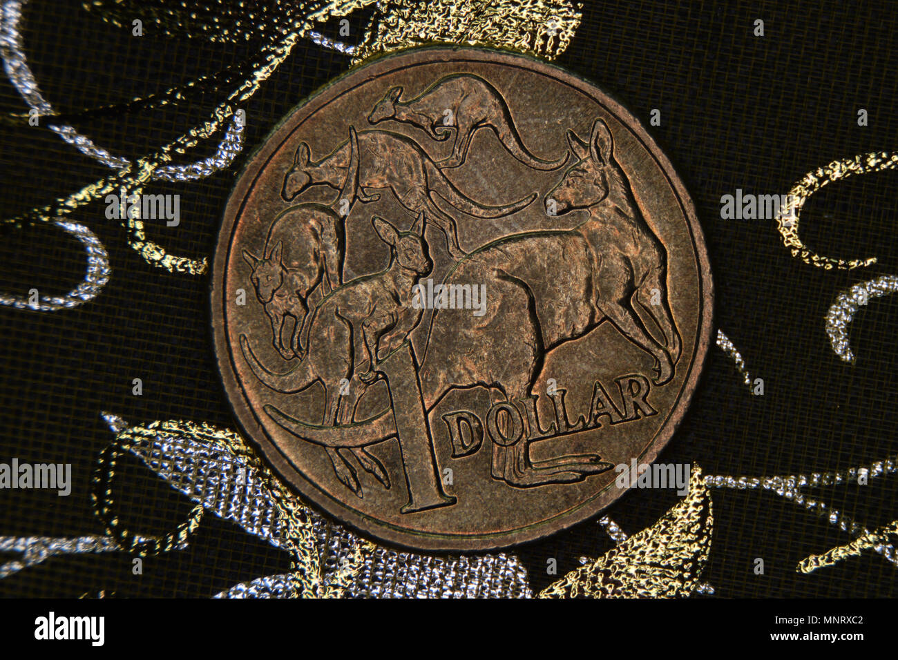 Nahaufnahme eines Australischen 1 Dollar Münze auf einem dunklen Hintergrund. Stockfoto