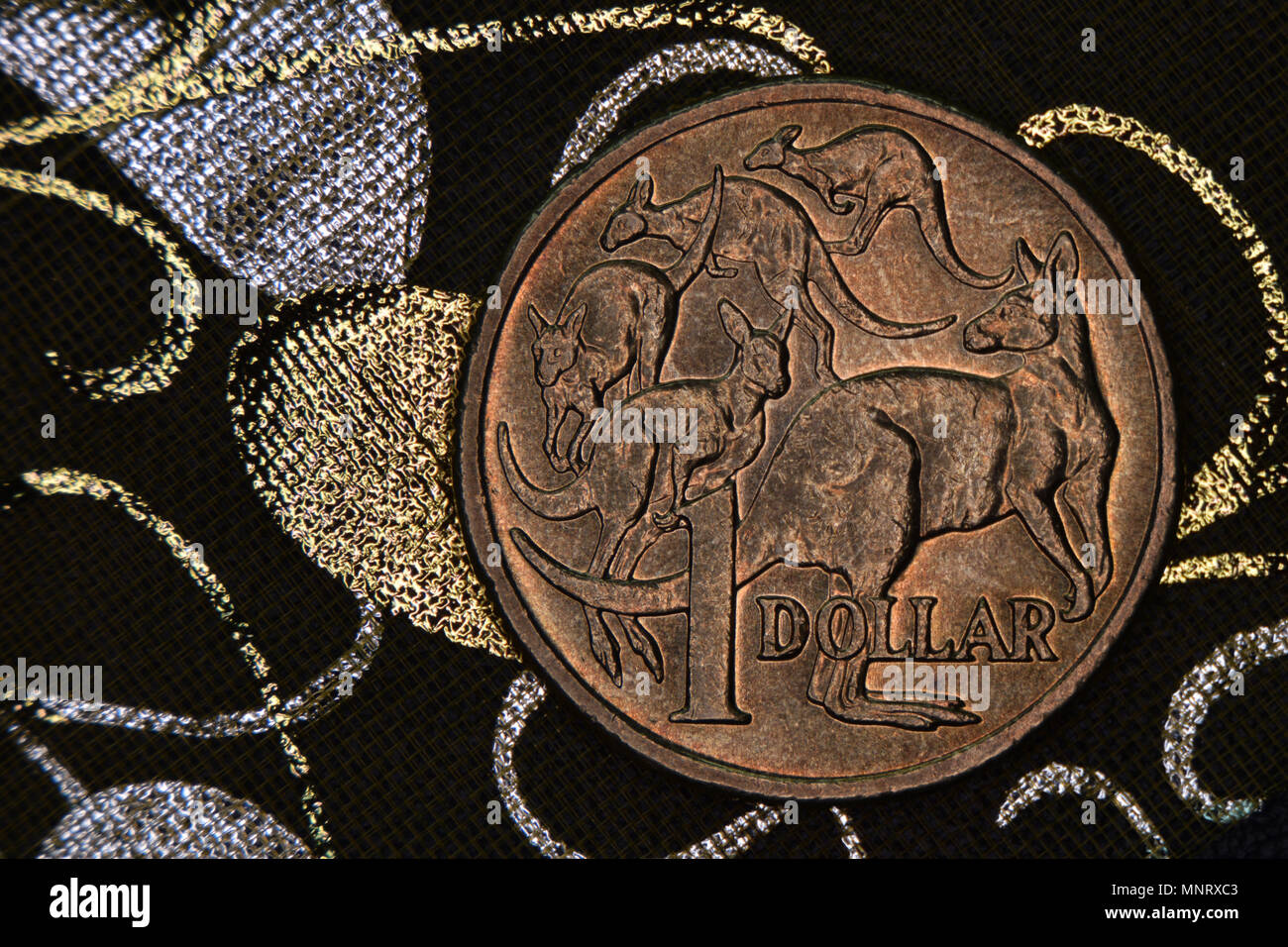 Nahaufnahme eines Australischen 1 Dollar Münze auf einem dunklen Hintergrund. Stockfoto