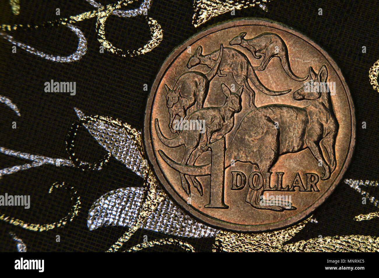 Nahaufnahme eines Australischen 1 Dollar Münze auf einem dunklen Hintergrund. Stockfoto