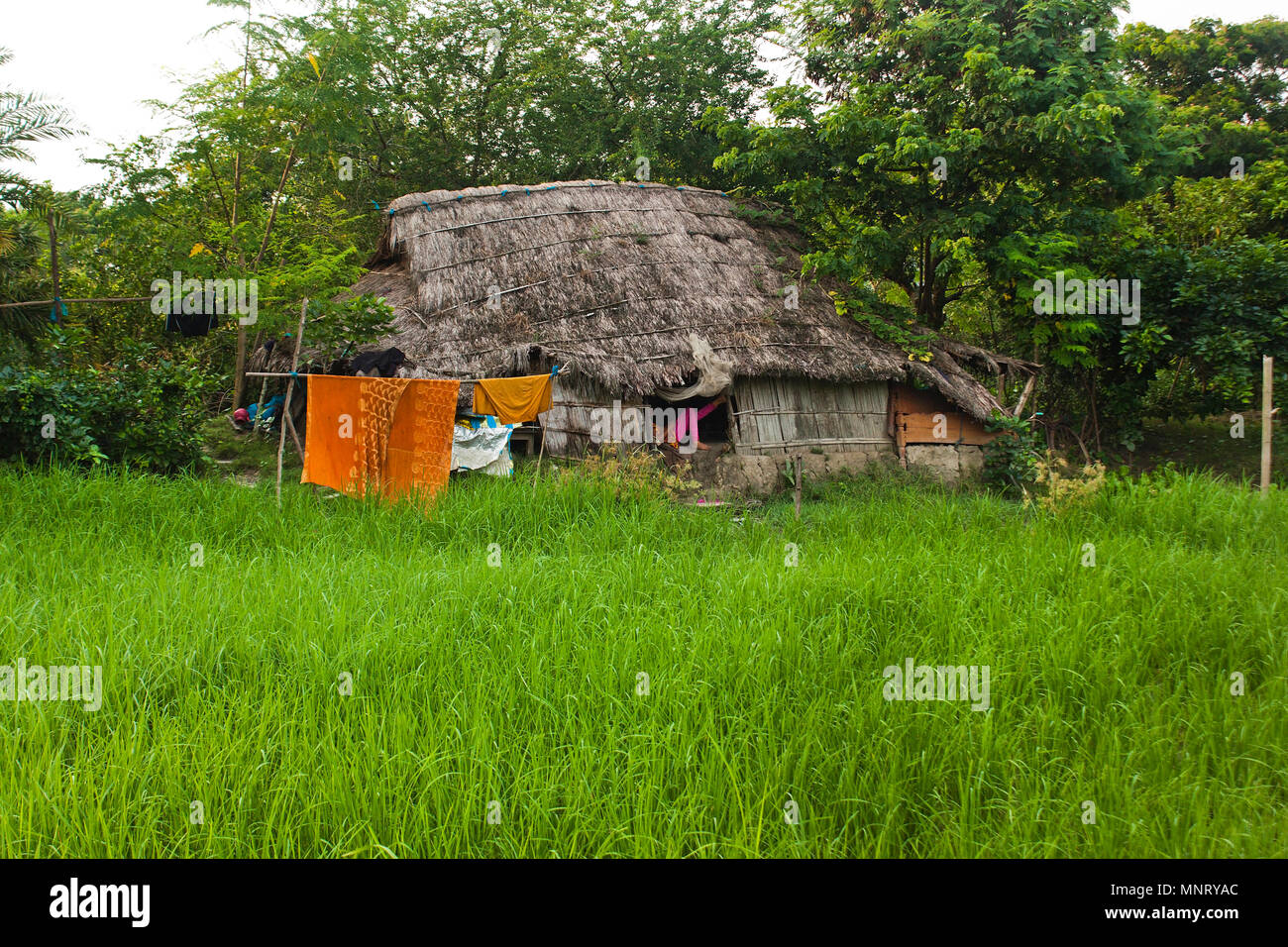 Ein ländliches Haus in Khulna, Bangladesh. Stockfoto