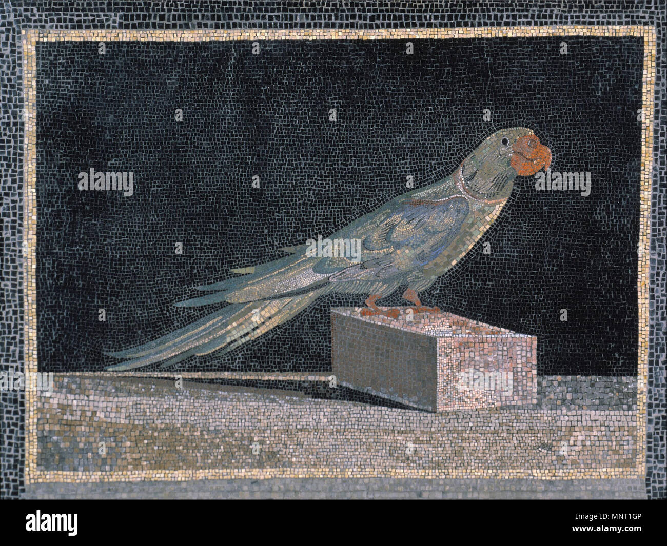 Parrot Mosaik Anfang bis Mitte 2. Jahrhundert v. Chr.. 962 Parrot Mosaik - Google Kunst Projekt Stockfoto