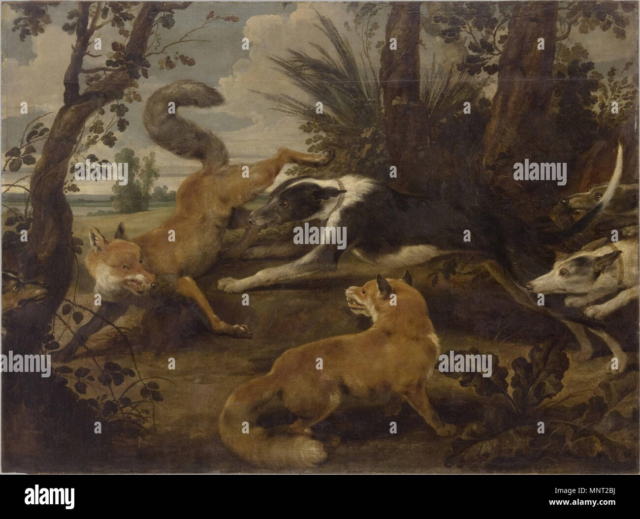 Englisch: Wolfhounds und Zwei Füchse 1630. 965 Paul de Vos - Wolfhounds und Zwei Füchse Stockfoto