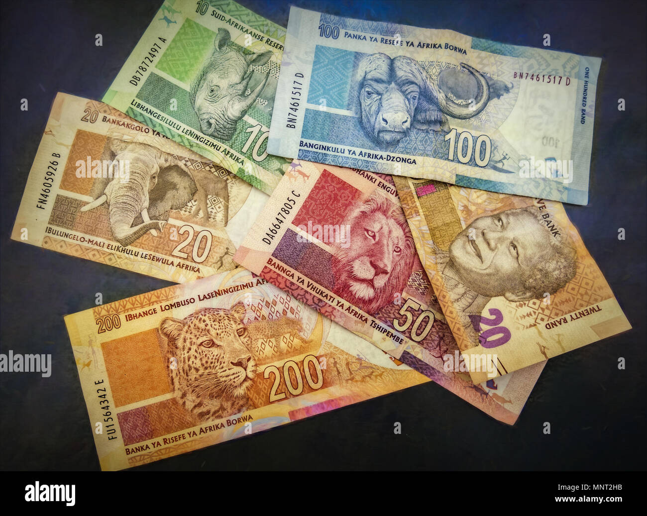 Sammlung der Dollar Noten von South African Rand Währung mit Big 5 Safari Tiere und Nelson Mandela Illustrationen. Stockfoto