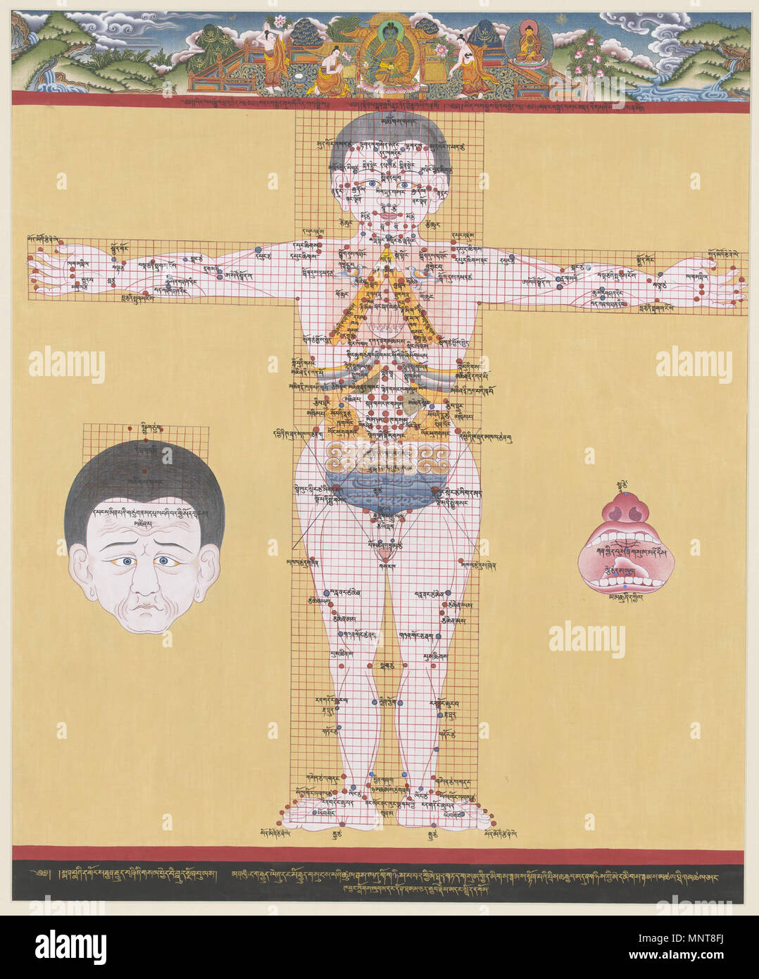 Medientyp: Direct Digital Capture Betriebssystem: Mac OS 10.5.4 Ausstattung: Hasselblad H2/Leaf Aptus 65 70 SU 21435/LF 10092 Ausstattung Software: Leaf Capture 11.0.1 Image Software: Adobe Photoshop CS3 Bildauflösung: 6096 x 4558 Pixel @ 300 dpi Bild Farbraum: Adobe RGB (1998) Bild Farbtiefe: 24 Bit RGB-Quelle Dateityp: TIFF-Datei, Größe: 79,5 MB Erhaltung Dateityp: JPEG 2000 Erhaltung Dateigröße: 20 MB 70.3/5501 1169 Die Blaue Beryl-Moxibustion Chirurgie und Blutvergießen Punkte Stockfoto