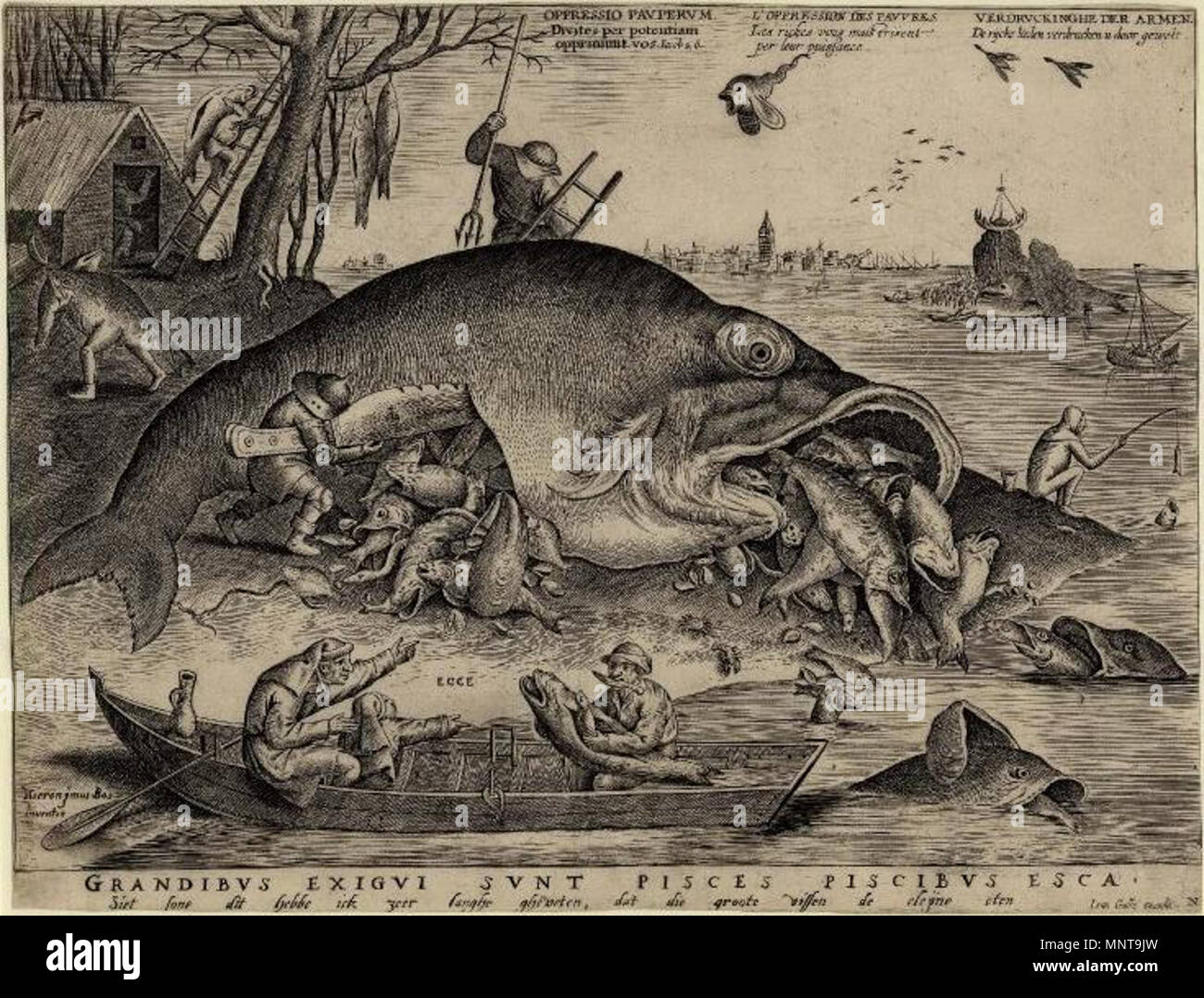 Fisch-Malvorlagen - Für Kleine Und Große Fischfreunde