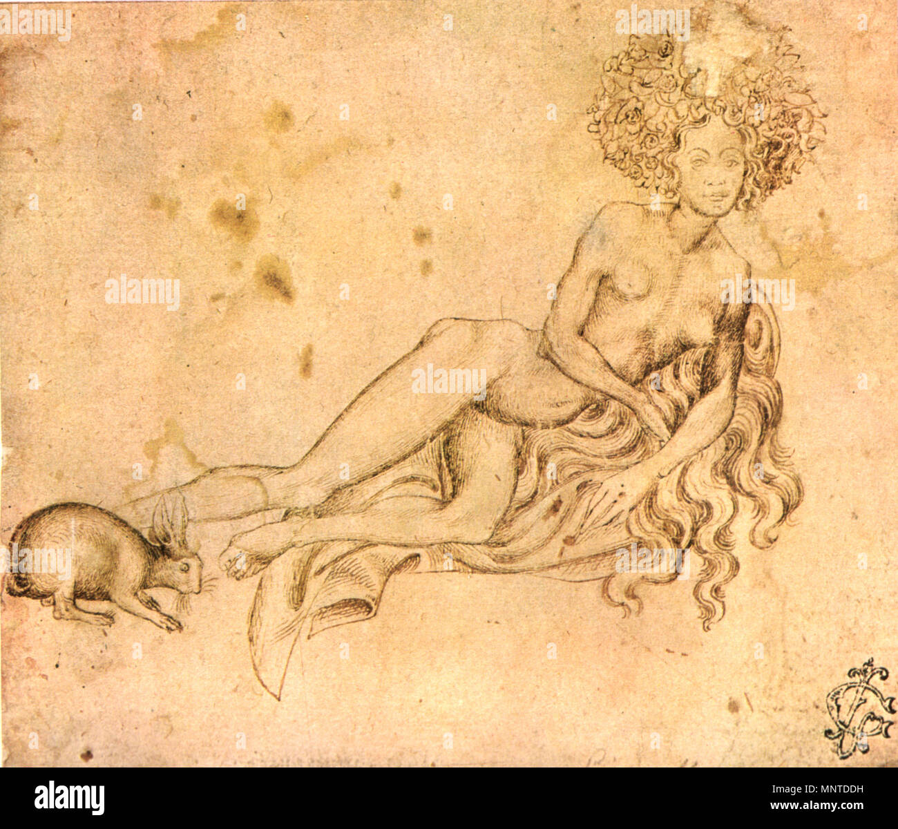 15. Jahrhundert. 1006 Pisanello, disegni, Albertina 24018 r Stockfoto