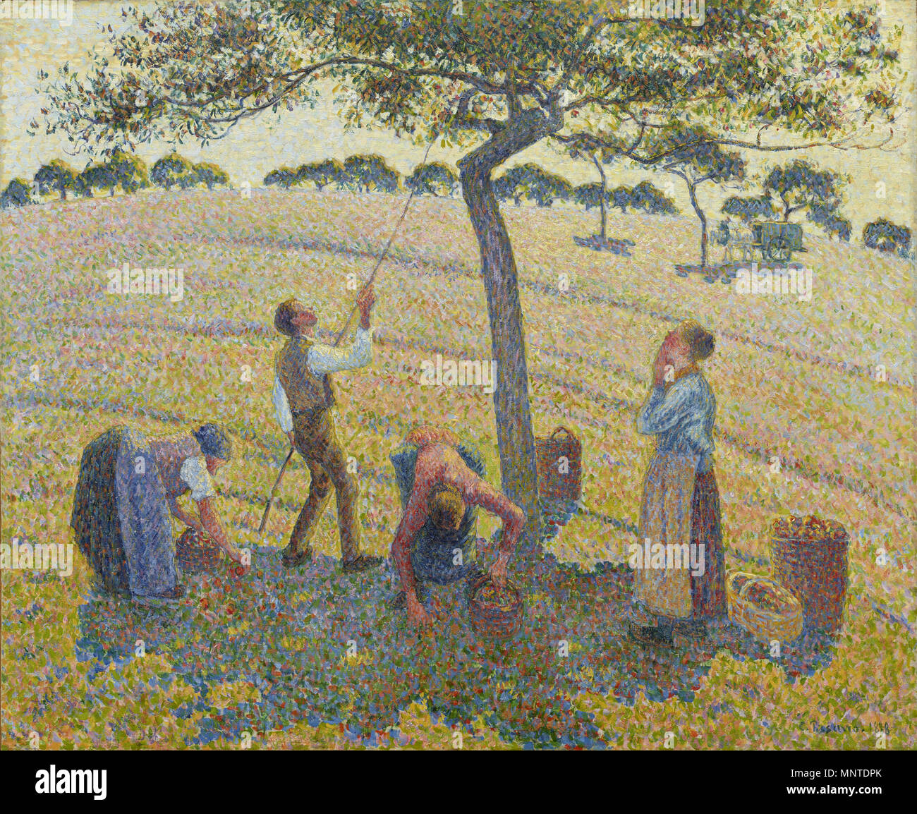 English: Apfelernte in Eragny Englisch: Apple Harvest bei Eragny Français: La Récolte des Pommes à Cergy 1888. 1007 Apfelernte von Camille Pissarro Stockfoto