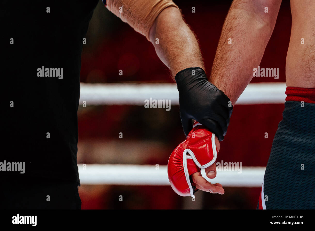 Hände von Schiedsrichter und MMA-Kämpfer nach Kampf Ansage Zeremonie der Gewinner Stockfoto