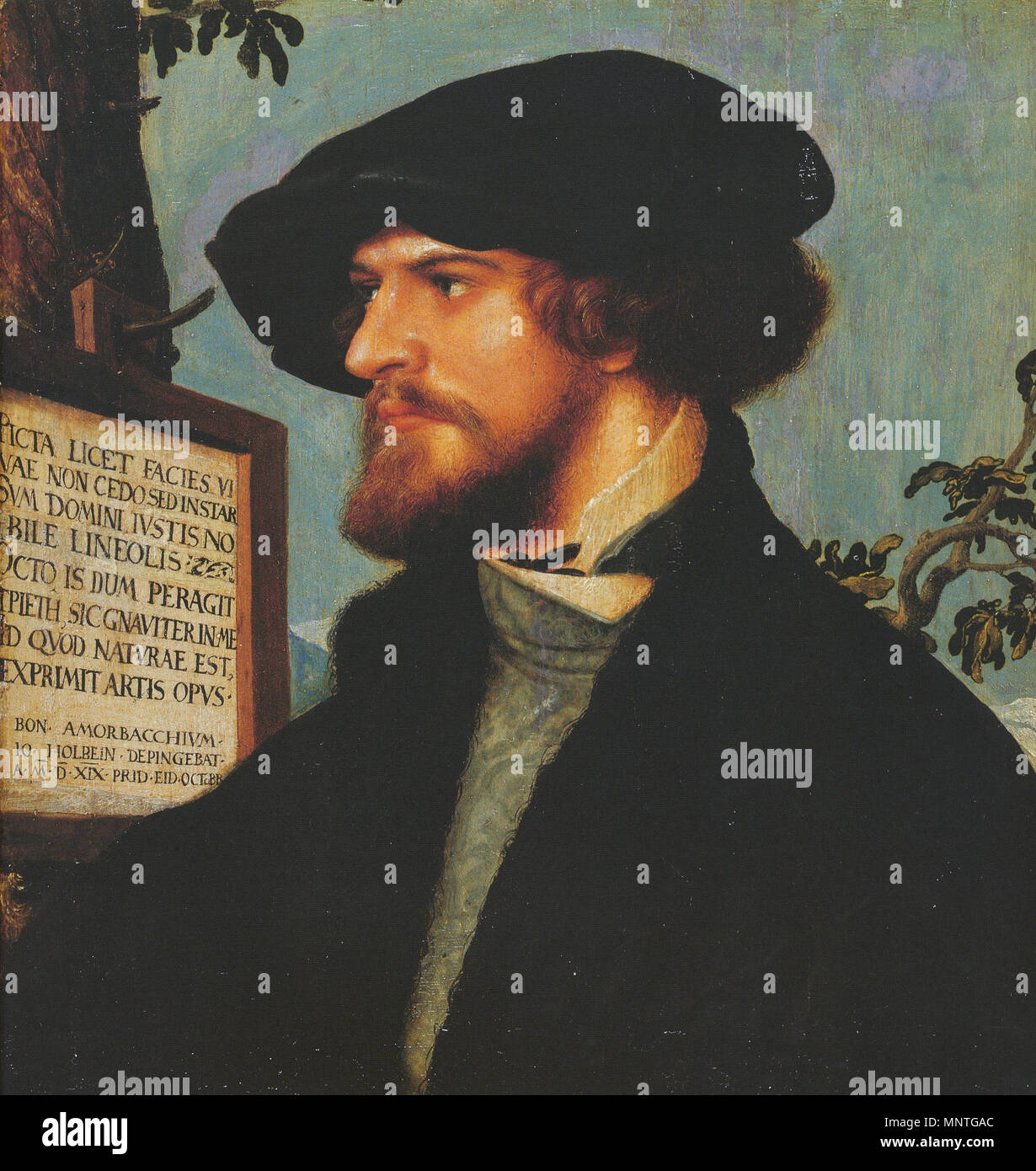 Portrait von bonifacius Amerbach. Englisch: Das Porträt war eines der ersten Holbeins Kommissionen als Maler in Basel. Die jungen akademischen Bonifacius (oder Bonifatius) Amerbach (1495-1562), Sohn eines Druckers, wurde ein Freund und Bewunderer von Holbein, als beide Männer in den humanistischen Kreisen in Basel gemischt. Amerbach, der fortfuhr, Römisches Recht an der Universität Basel zu lehren, war auch ein Freund der großen humanistischen Gelehrten Erasmus Desiderius, der ihm seine einzige Erbe gemacht. Er war ein Sammler von holbein's Kunst, und seine Sammlung, erweitert durch seinen Sohn Basilius, der Kern der Basler Kunstmuseum gebildet. Die fast squa Stockfoto