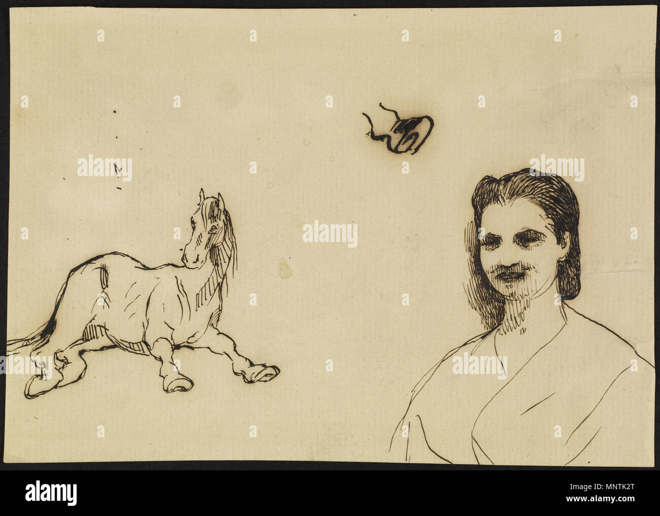 TL. 2009.8.12 1031 Prosper Mérimée - ein Pferd und eine Frau - Walters 372797 Stockfoto