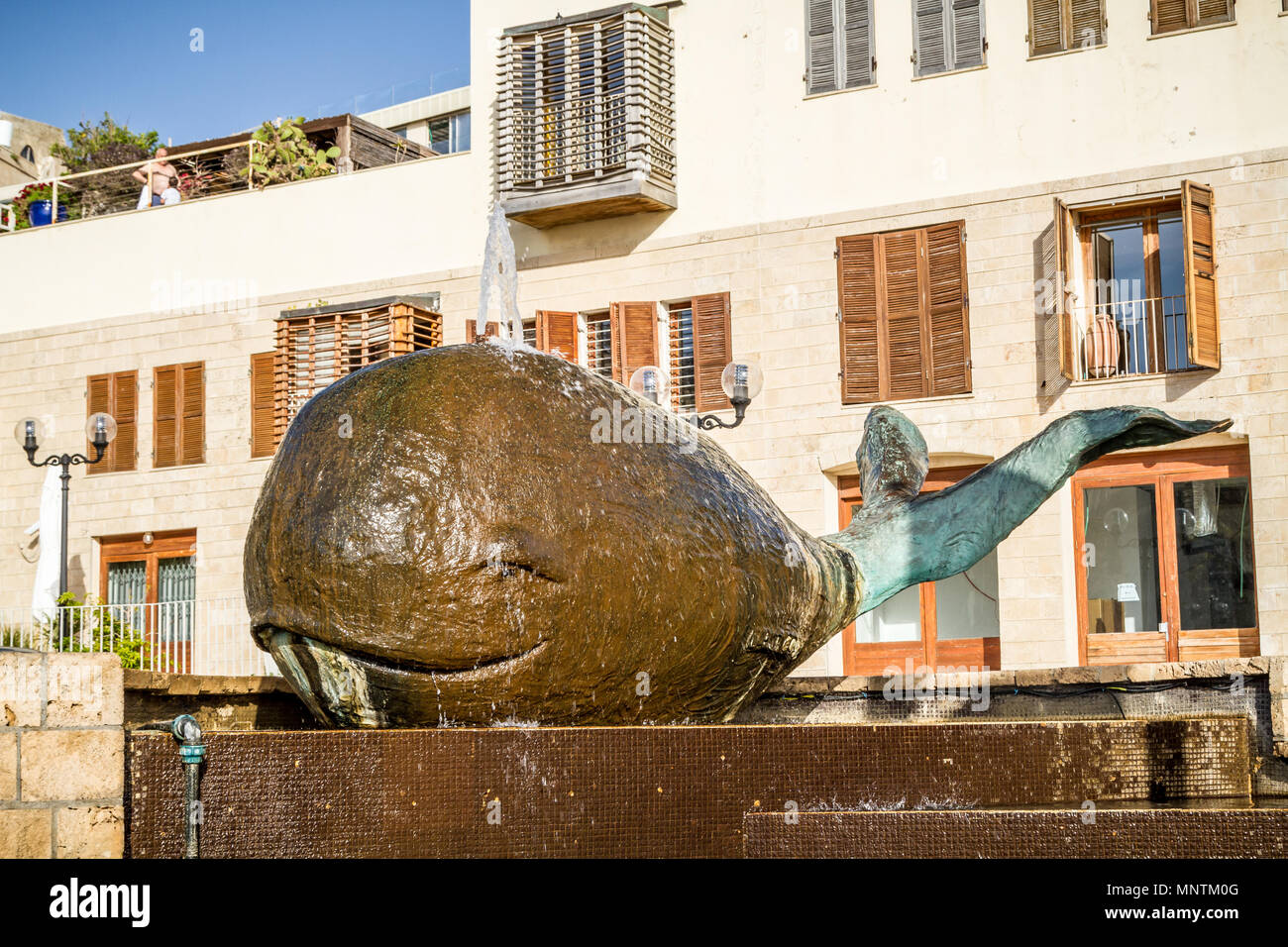 Bronze Wal Brunnen in der Altstadt von Jaffa, Israel Stockfoto