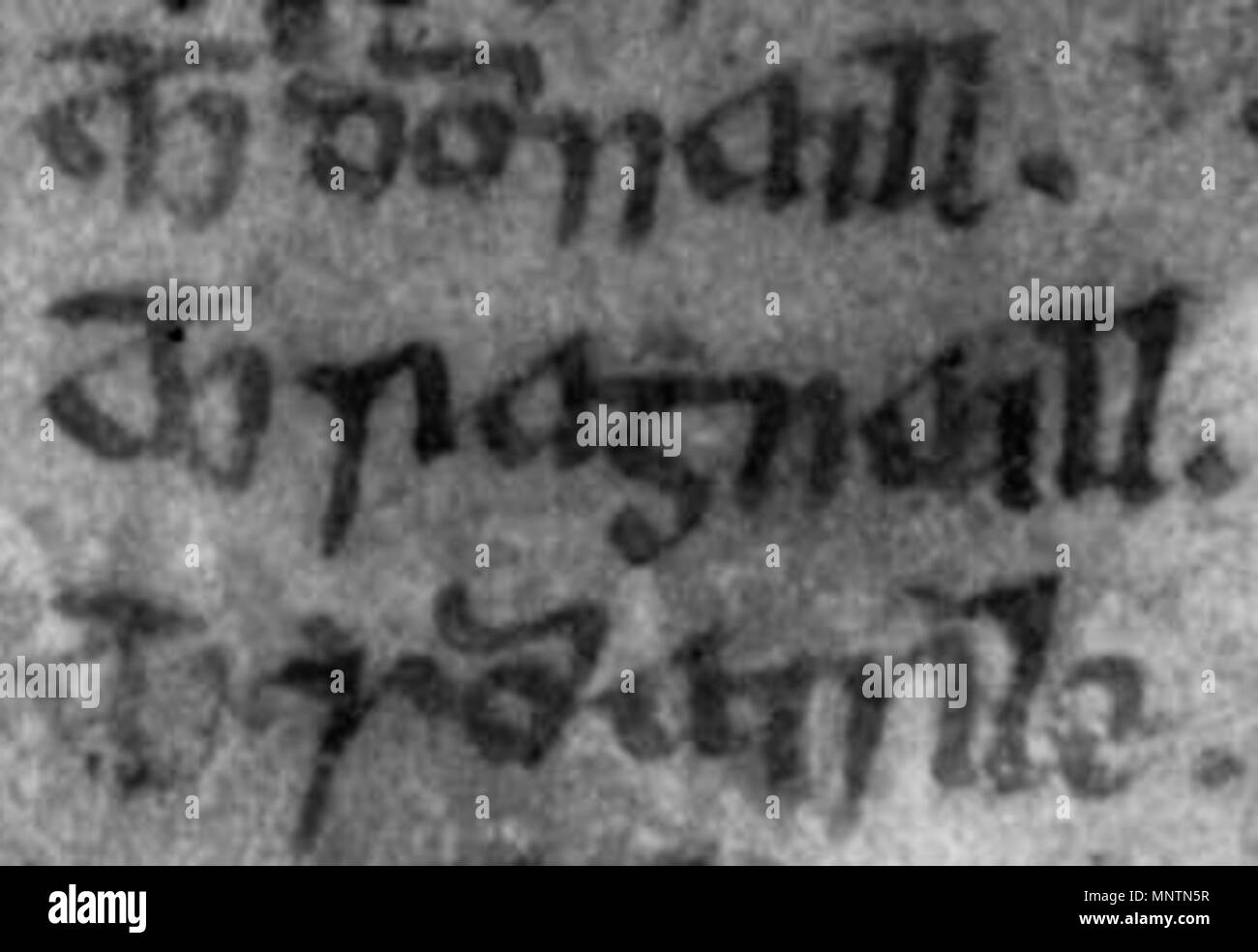 . Ein Foto von einem bestimmten Teil der Genealogie der Clan Donald in der MS 1467. Das Foto wurde unter ultra-violettem Licht. Der Text lautet in drei Zeilen: "hic domnaill', 'Mhic raghnaill" und "hic somairle'. Dieses übersetzt in Englisch: Auf der Domnall", "Auf der Ragnall", "Auf der Somairle'. Die Namen beziehen sich auf die folgenden Männer: Domnall, Ragnall und Somairle. 15. Jahrhundert. Dubhghall Albanach mac mhic Cathail. 1039 Ragnall mac Somairle (MS 1467) Stockfoto