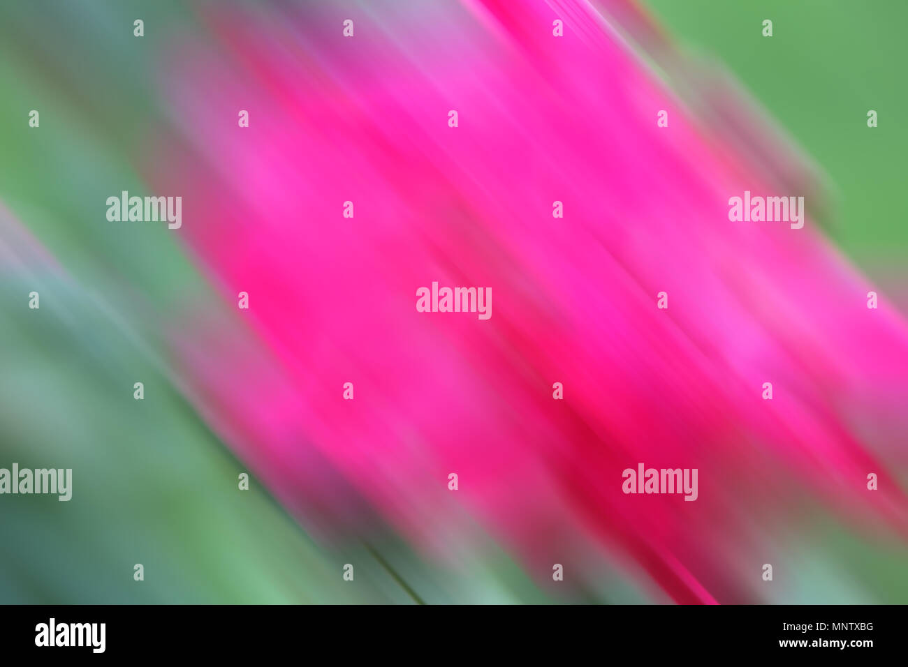 Schöne abstrakte farbenfrohe Hintergrund. Rosa und grün Stockfoto