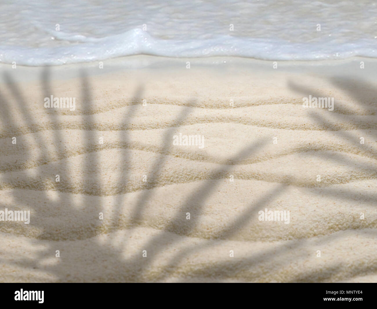 Palm Schatten am weißen Sandstrand. Tropisches Paradies. Schäumende Welle läuft auf den Sand. Stockfoto