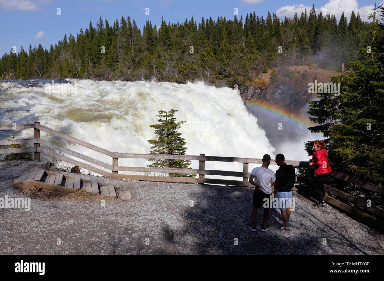 Tannforsen, Schweden - 14. Mai 2018: eine groupp des thre Menschen einen Besuch in der Tannforsen Wasserfall Anzeigebereich in der schwedischen Provinz Jamtland entfernt. Stockfoto