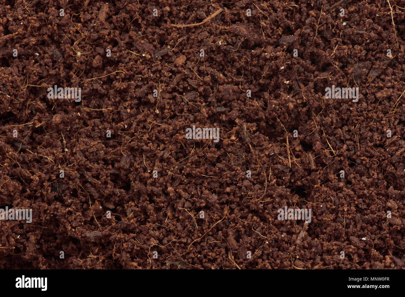 Kokos Kokos oder Coco Brick, wachsende Medien in Gartenbau und Gartenpflege closeup Hintergrund Textur. Stockfoto