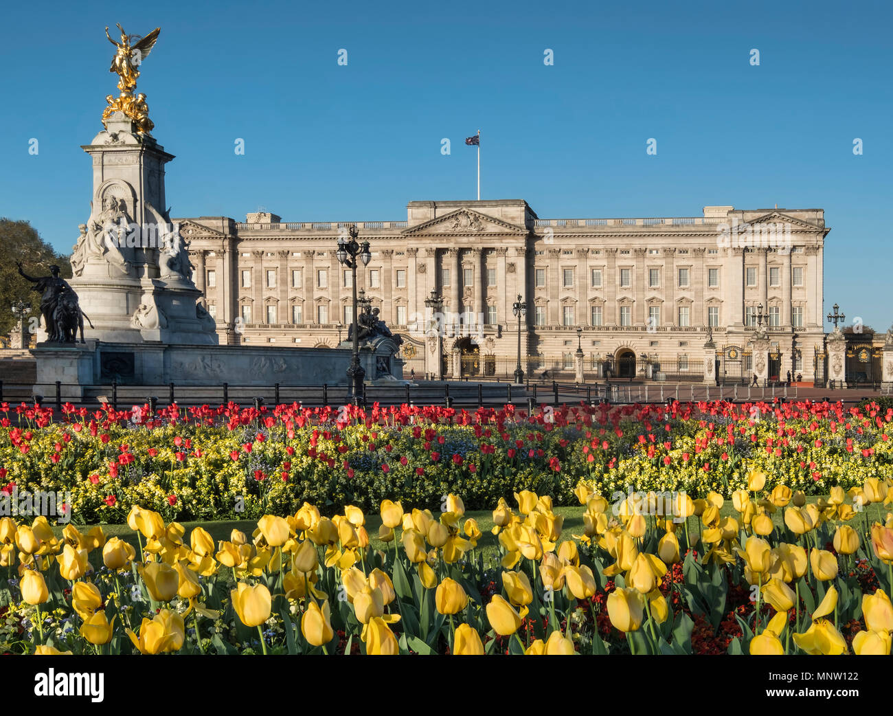 Der Buckingham Palace und das Victoria Memorial im Frühjahr, London, England, Großbritannien Stockfoto