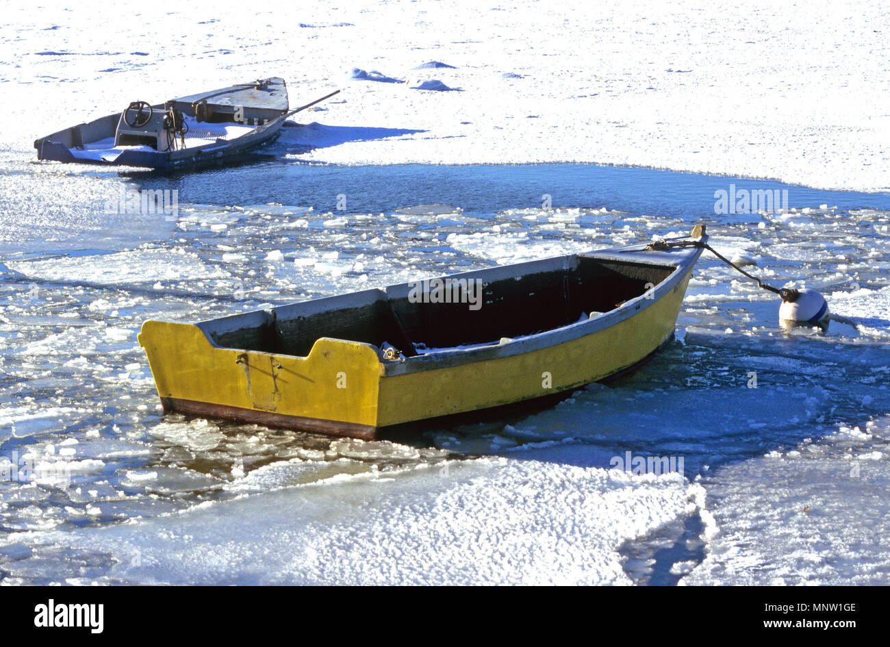 Ein Ruderboot in der Mühle Teich im Chatham, Massachusetts, USA auf Cape Cod eingefroren. Stockfoto