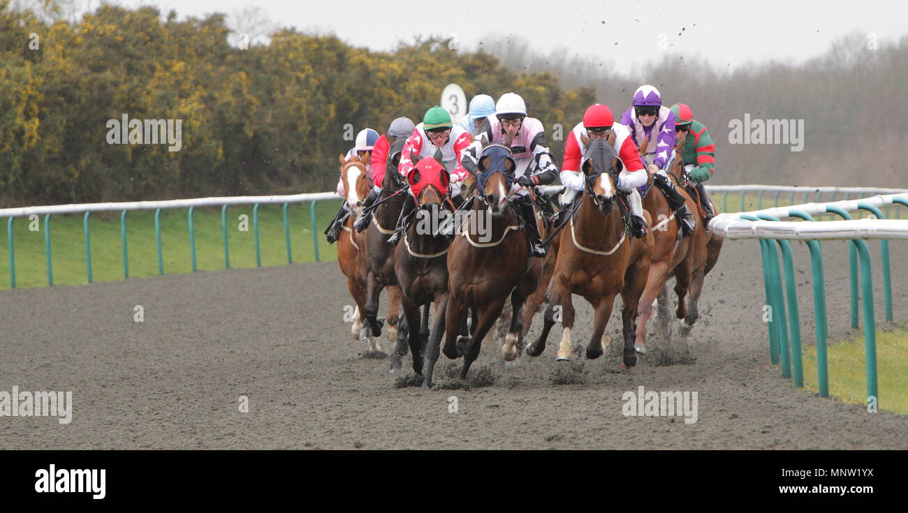 Jockey, Jim Crowley, Steve Drowne, Tom Queally, George Baker, William Carson, Richard Thomas, Martin Dwyer, Carson, Hayley Turner, Jim Crowley und Chris Catlin fahrt Bonnie Prince Blue, Frequenz, Waterloo Station, Al Gillani, Athaakeel, Briannsta, Poesmulligan, Boga und Terrys Flattern. Lingfield Park Race Track, Lingfield, England. 30. März 2011 Stockfoto