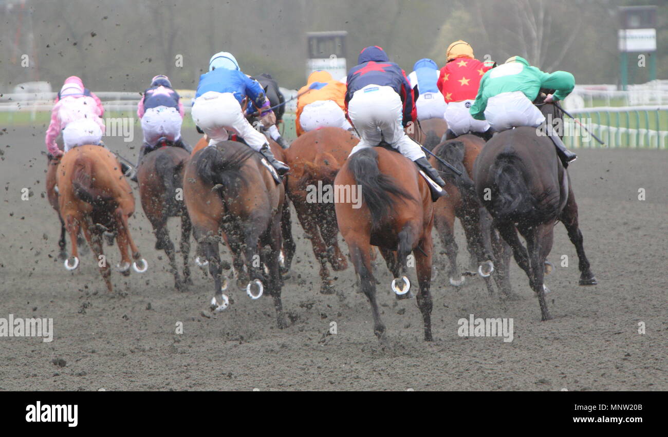 Jockey, Jim Crowley, Steve Drowne, Tom Queally, George Baker, William Carson, Richard Thomas, Martin Dwyer, Carson, Hayley Turner, Jim Crowley und Chris Catlin fahrt Bonnie Prince Blue, Frequenz, Waterloo Station, Al Gillani, Athaakeel, Briannsta, Poesmulligan, Boga und Terrys Flattern. Lingfield Park Race Track, Lingfield, England. 30. März 2011 Stockfoto