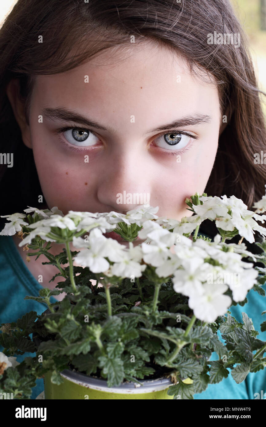 Junge Teen Girl riechen einen Topf mit weißen Blumen Eisenkraut. Stockfoto