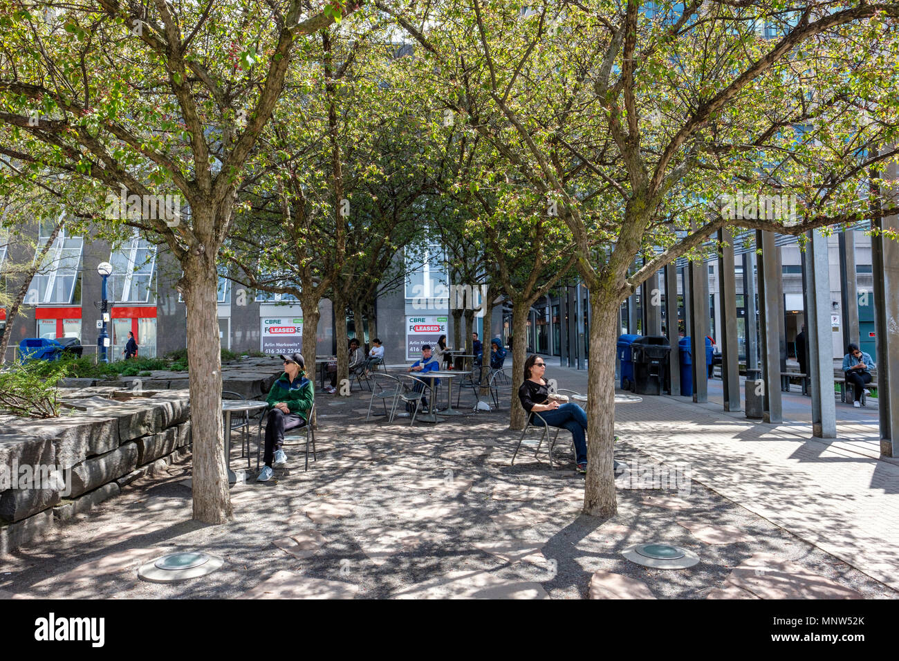 Orchard, Landschaftsabschnitt des Village of Yorkville Park in Yorkville, Bloor Yorkville, Daily Life, Stadtpark im Stadtzentrum von Toronto, Kanada. Stockfoto