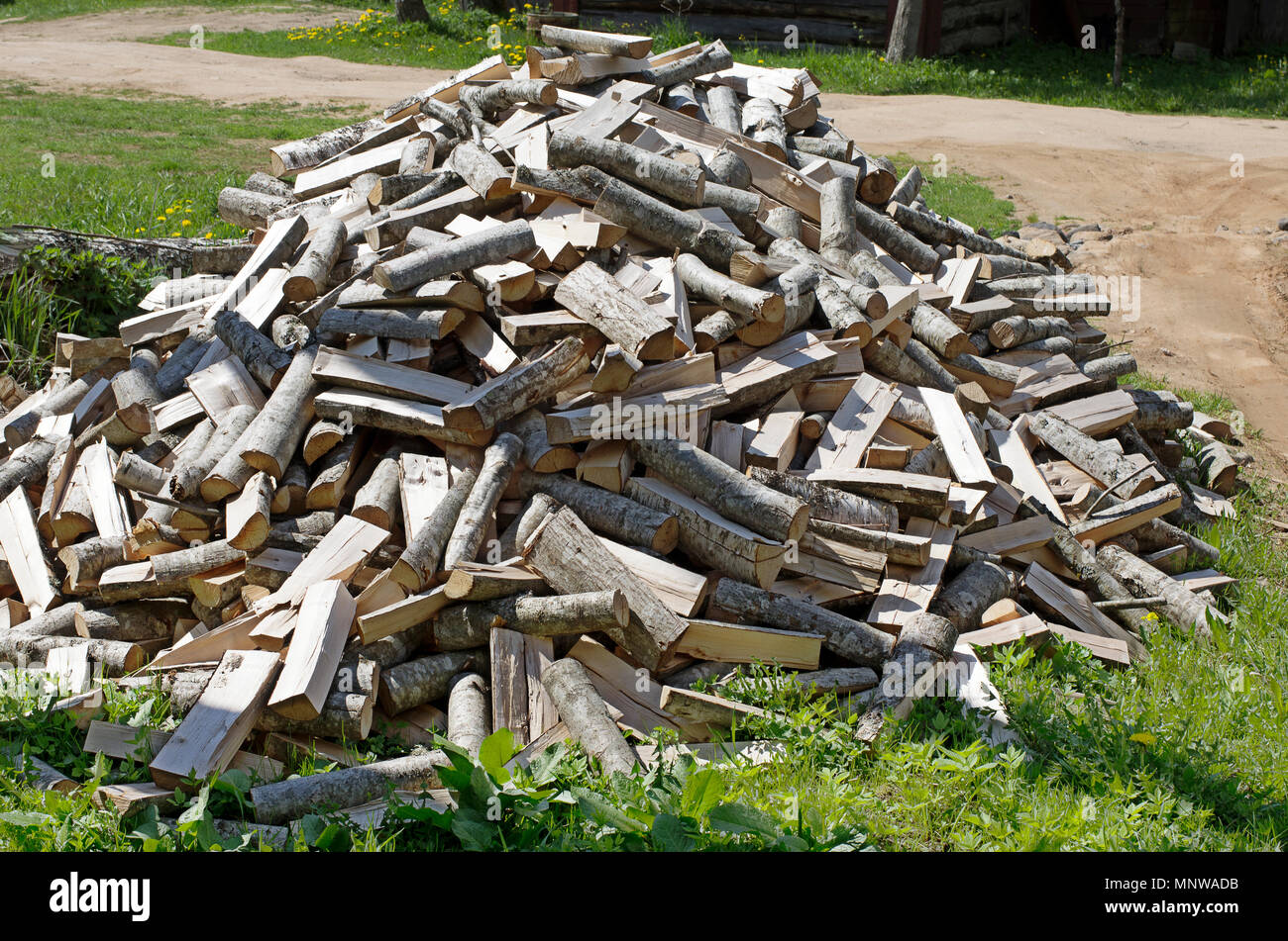 Grossen haufen Brennholz auf dem Gras leuchtet mit der Sonne Stockfoto