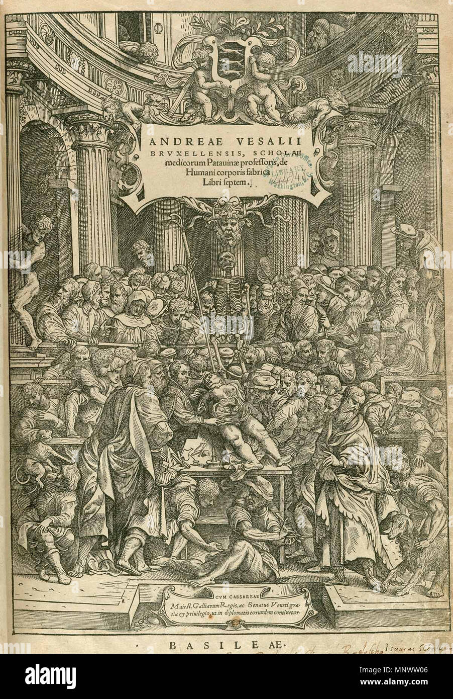. Andreas Vesalius: "De Humani Corporis Fabrica libri septem" - Titel Seite Jan van Calcar (um 1499-1546/1550) Alternative Namen Giovanni da calcar, Johannes Stephan van Calcar, Jan van Calcar, Joannes Stephanus Calcarensis Beschreibung Flemish-German Maler, Zeichner und Grafiker Geburtsdatum / Tod ca. 1499 zwischen 1546 und 1550 Ort der Geburt / Todes Kalkar Neapel Arbeitsort Venedig (1536-1537), Neapel (ca. 1545-1546) Kontrolle: Q 1397369 VIAF: 47034805 ISNI: 0000 00010896 5577 ULAN: 500026055 LCCN: n 94115763 WGA: CALCAR, Jan Steven van W zugeschrieben Stockfoto