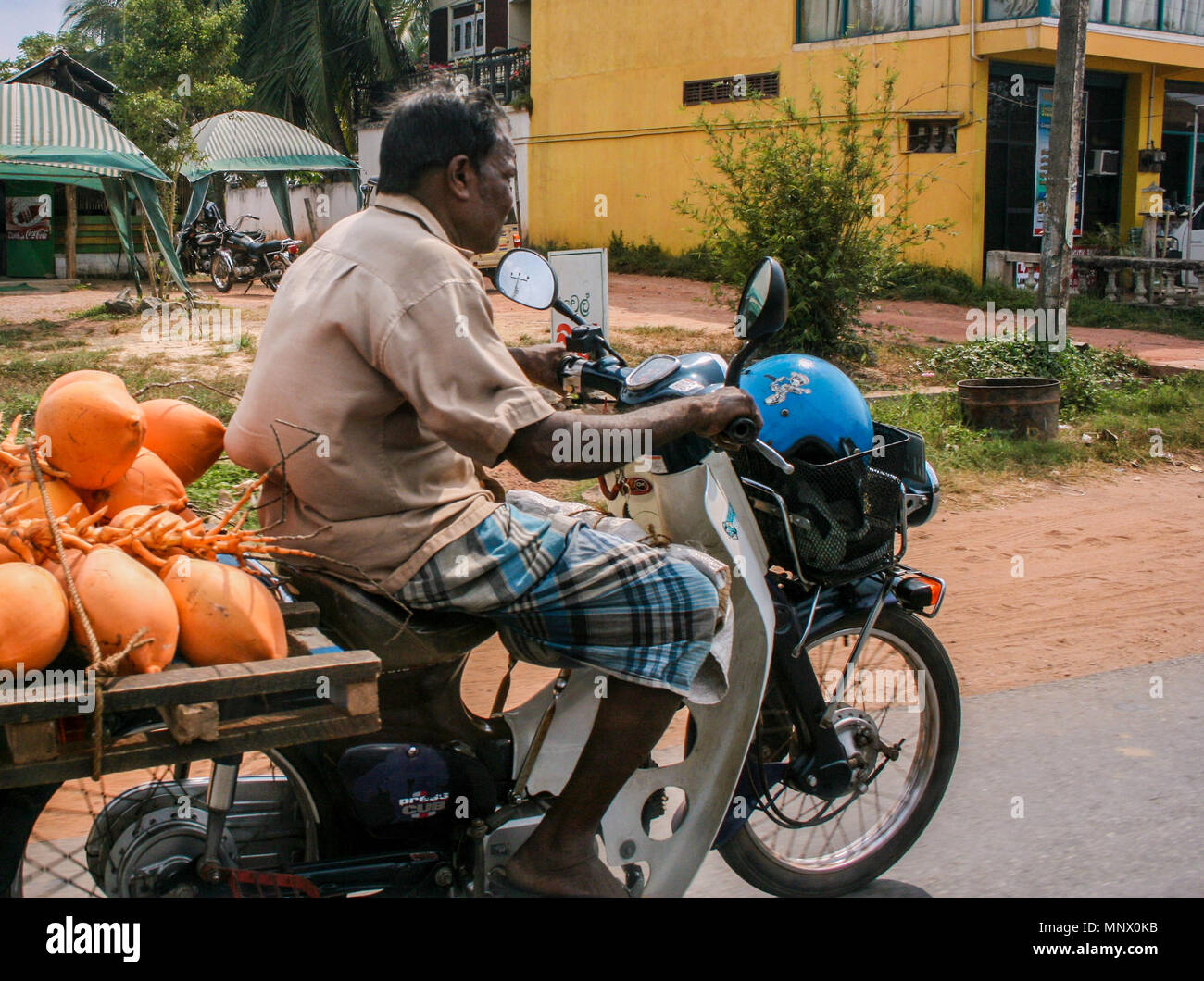 Mann auf dem Moped mit Kokosnüssen, Sri Lanka Stockfoto