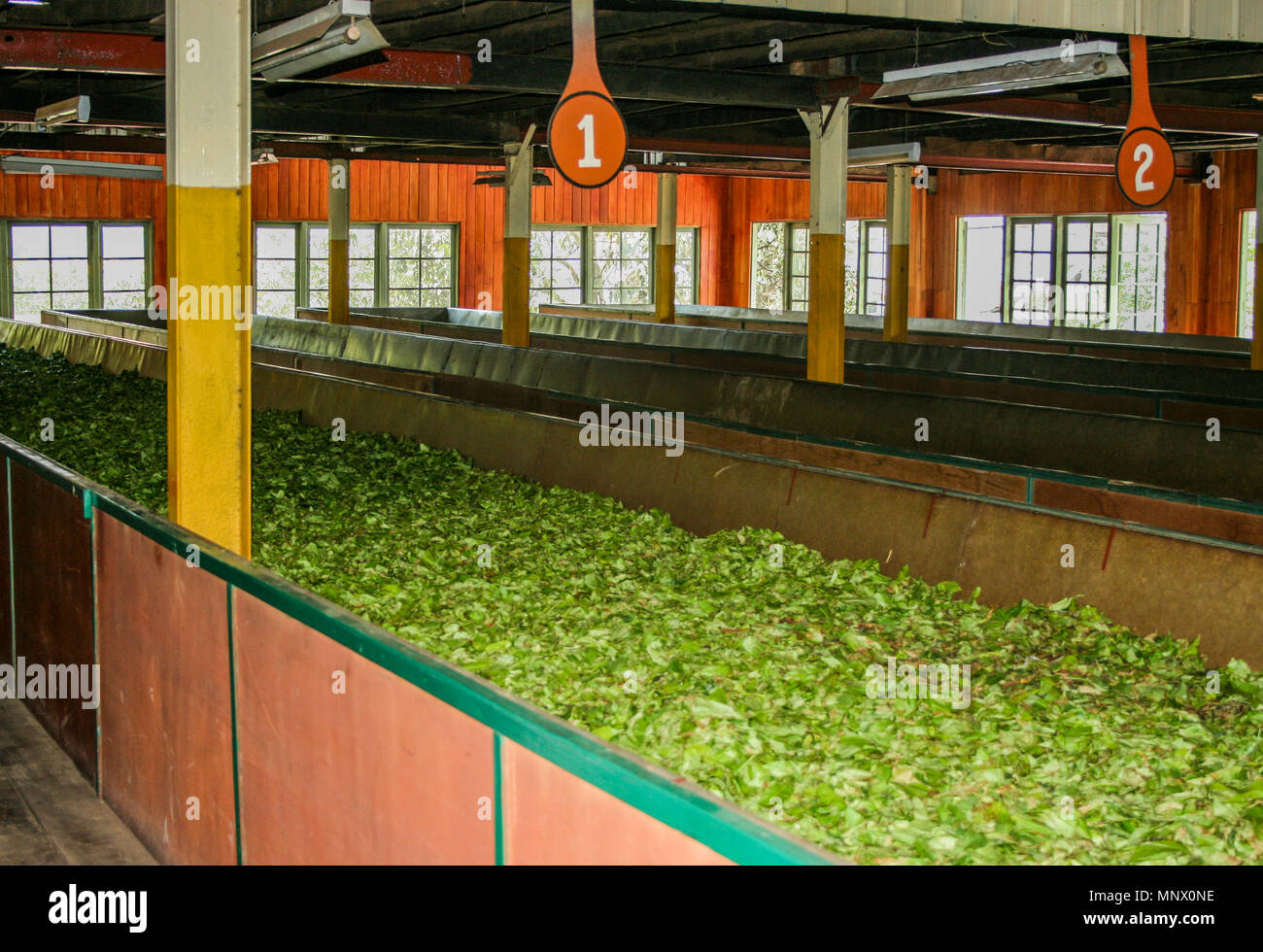 Traditionelle Tea Factory, Sri Lanka Stockfoto