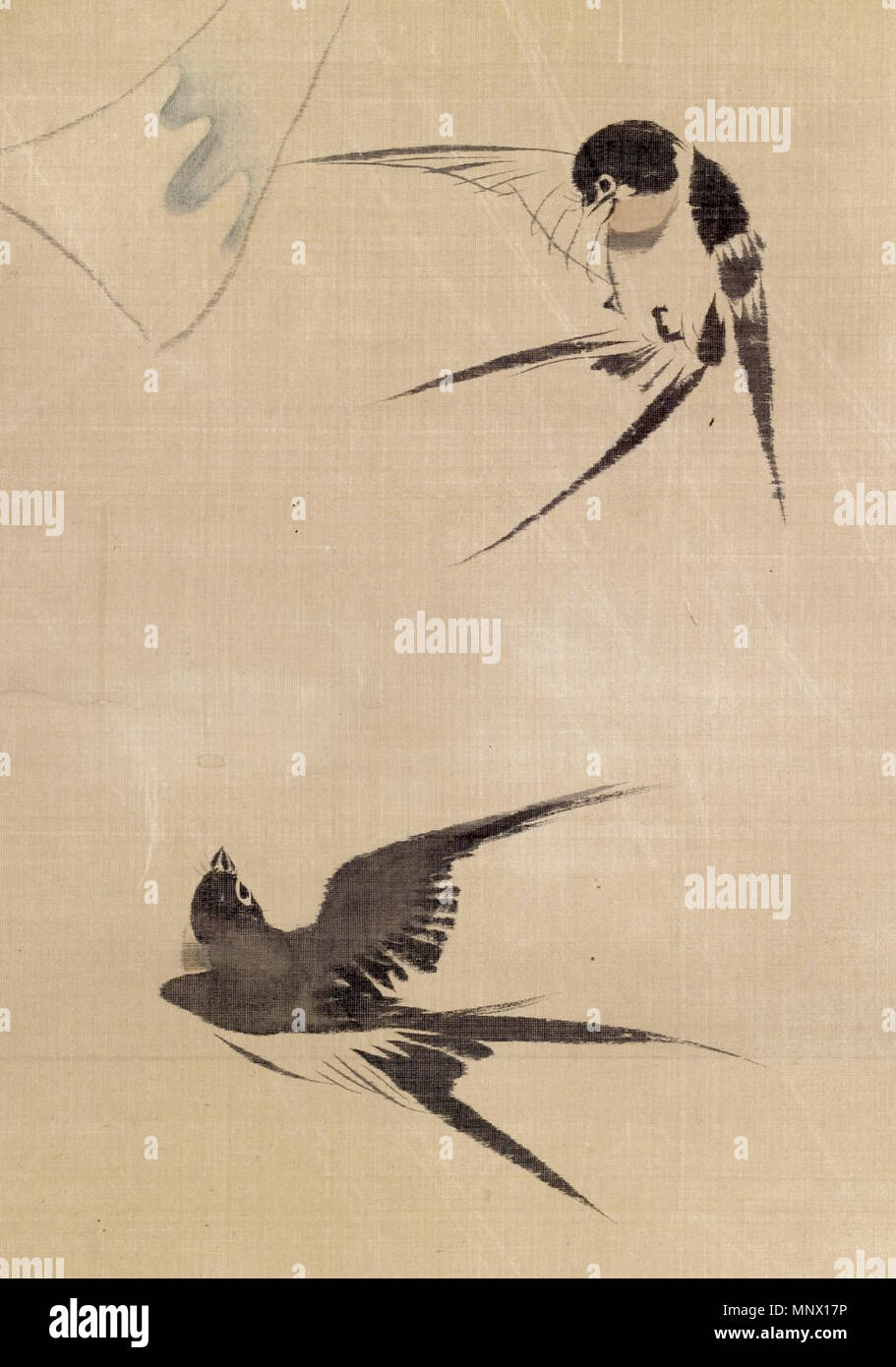 Sakai Hoitsu (Japanisch, 1761-1828). "Zwei Schwalben und wind Bell", 1750-1868. Tusche und Farben auf Seide - MONTIERT AUF PAPIER. Walters Art Museum (35.72): vor 1931 erworben. 35.72 1086 Sakai Hoitsu - Zwei Schwalben und Wind Bell - Walters 3572 - Detail A Stockfoto