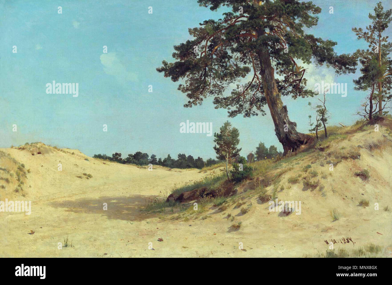 Kiefer auf Sand. Ivan Shishkin (1832 - 1898) Alternative Namen Russisch: Иван Иванович Шишкин Beschreibung russische Maler Geburtsdatum / Tod 13. Januar 1832 (im Julianischen Kalender) vom 20. März 1898 (im Julianischen Kalender) Ort der Geburt / Todes Vyatka Yelabuga (gouvernorat) Sankt Petersburg Standort Sankt Petersburg Authority control: Q 193064 VIAF: 61819715 ISNI: 0000 0001 1876 9318 ULAN: 500004158 82119235 LCCN: n NLA: 36561742 WorldCat 1115 ShishkinII SosnaNaPeskeRYB Stockfoto