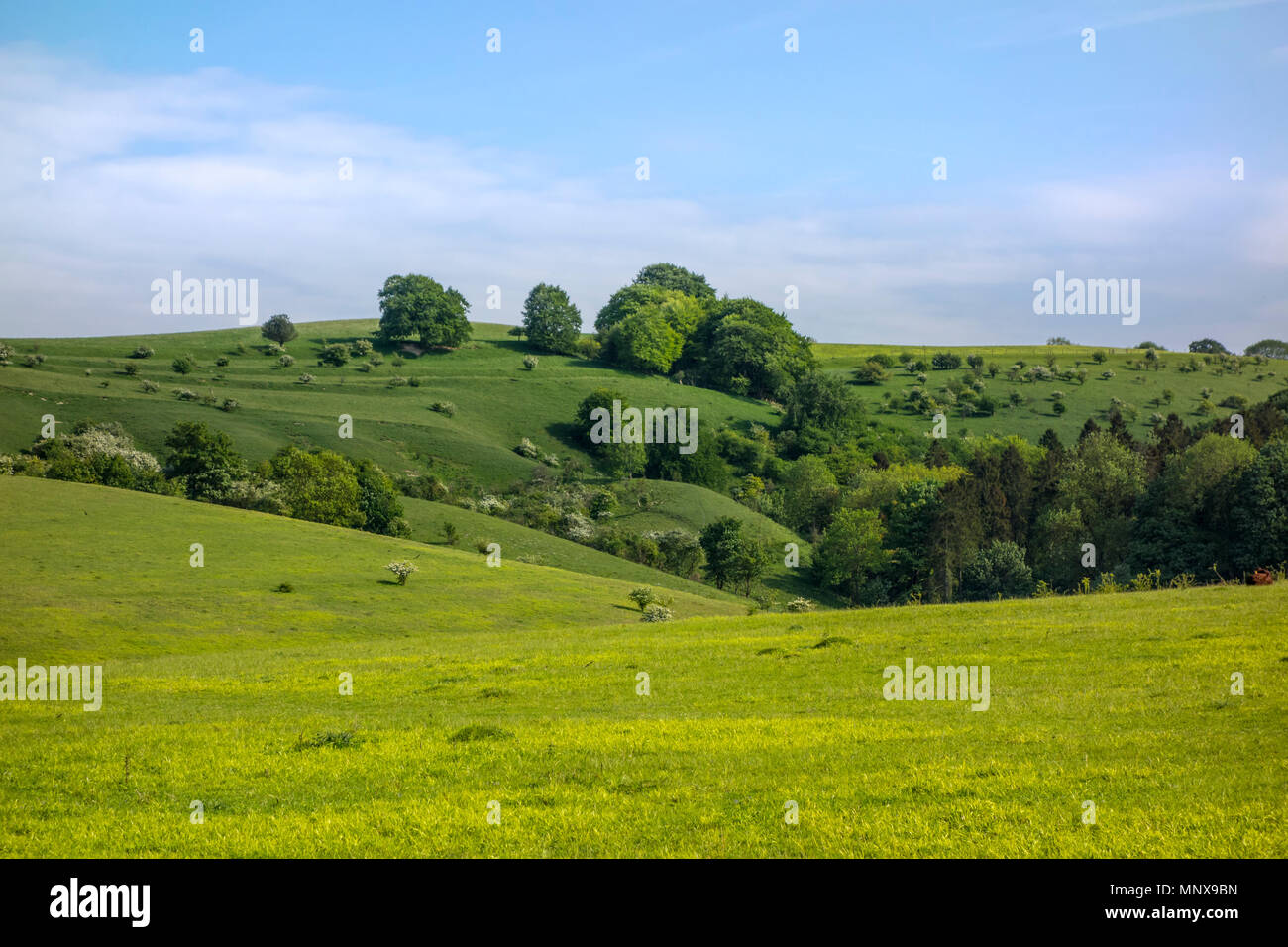 Pegsdon Hügel und Hoo Bit, Naturschutzgebiet im Pegsdon, Bedfordshire in den Chilterns Gebiet von außergewöhnlicher natürlicher Schönheit Stockfoto