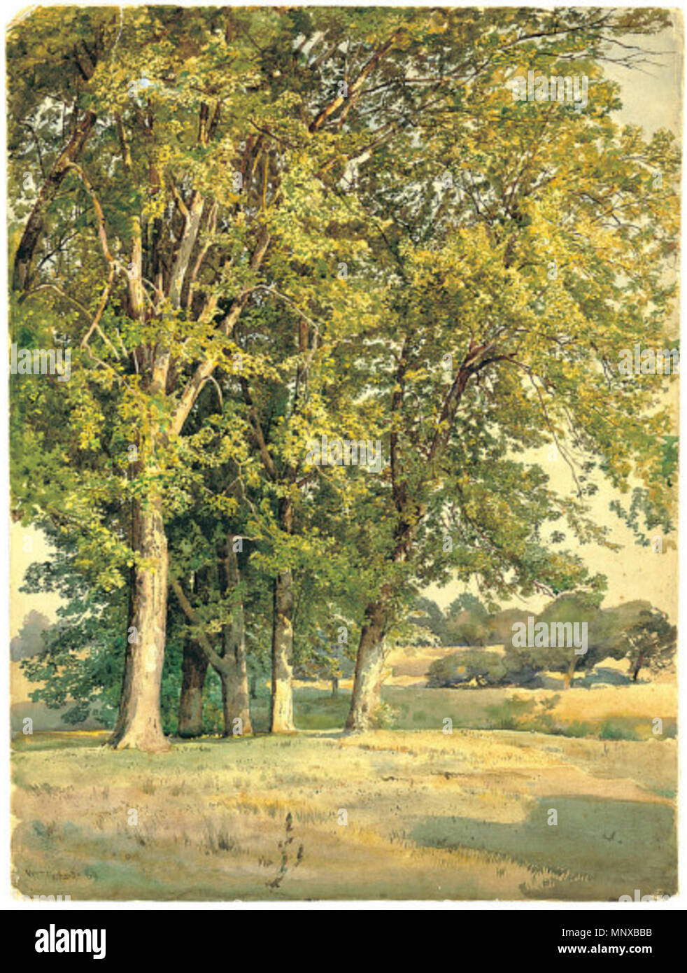 Englisch: Ahornbäume in Chester County, Pennsylvania, 1889. 1268 Ochtervelt - Ahornbäume in Chester County, Pennsylvania Stockfoto