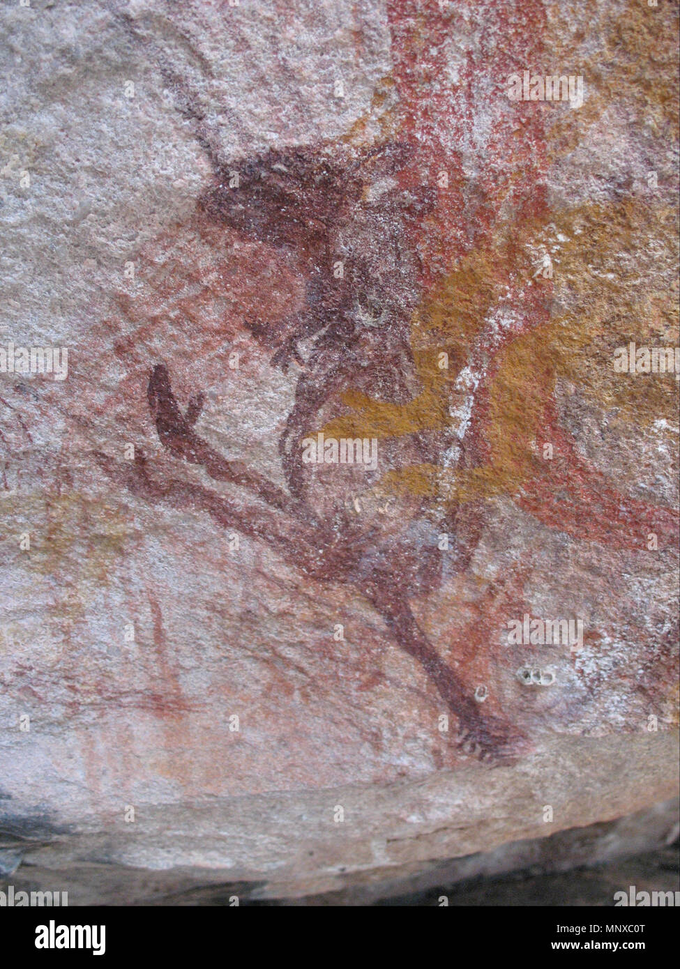 Kleine lila Wallaby (-4000--2000). 1128 Kleine lila Wallaby - Google Kunst Projekt Stockfoto